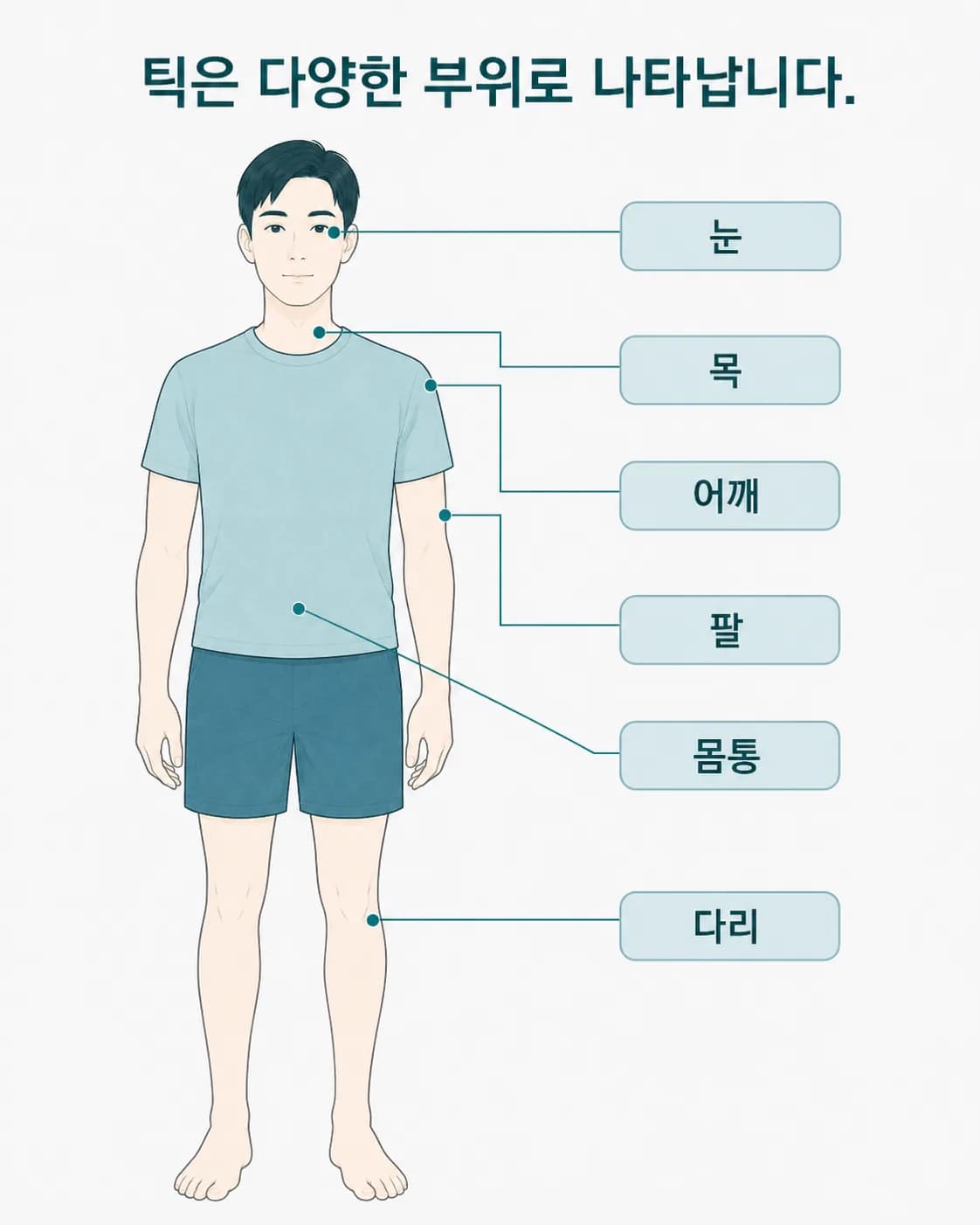 눈·코·입·목·어깨 등 성인 틱장애에서 틱이 자주 나타나는 신체 부위를 표시한 일러스트