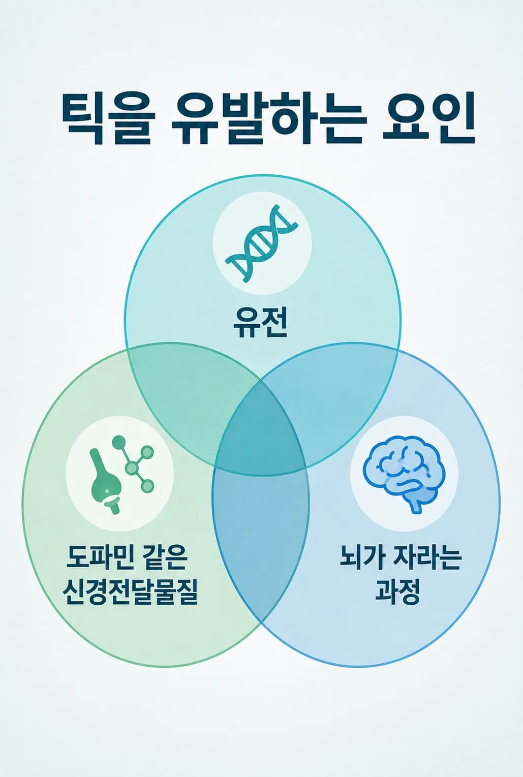 틱은 유전적 요인과 신경전달물질, 뇌 발달 과정이 겹쳐 생기며 스트레스는 원인이 아니라 악화 요인이라는 도식