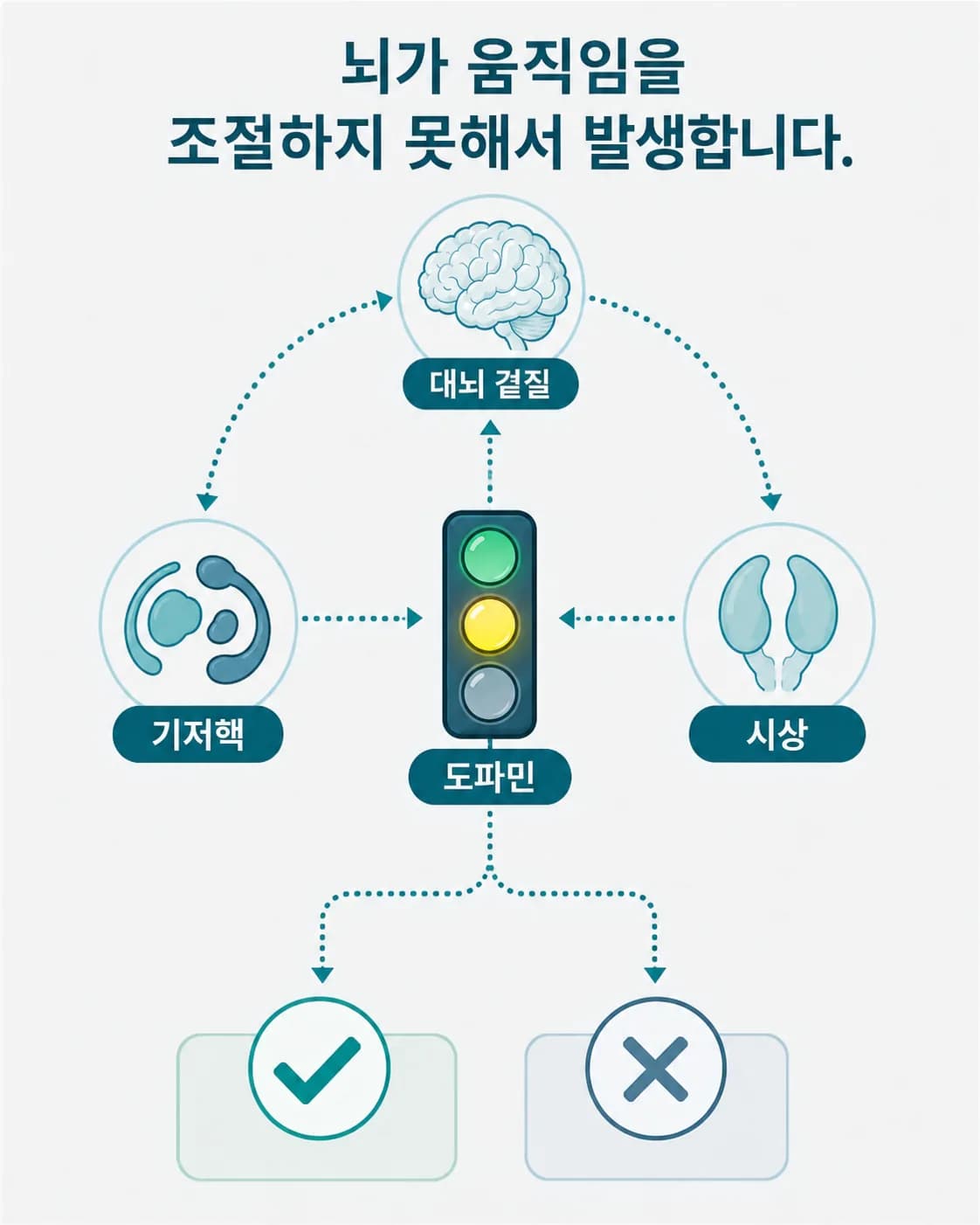 틱은 대뇌 겉질과 기저핵, 시상을 잇는 회로에서 움직임을 고르는 조절이 흔들릴 때 나타난다는 도식