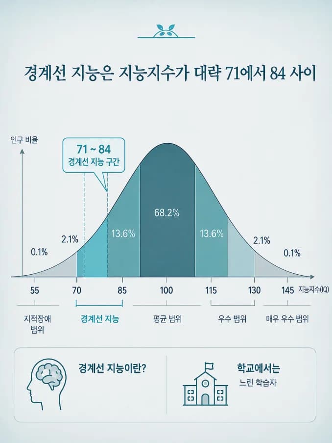 경계선 지능 지능지수 71에서 84 구간을 표시한 지능 분포 곡선