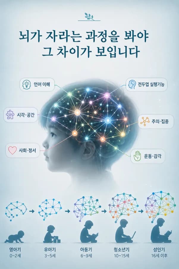 뇌의 여러 기능 영역이 저마다 다른 속도로 자라면서 연결이 잘 되는 영역과 덜 되는 영역이 생기는 모습을 노드와 연결선으로 나타낸 도식