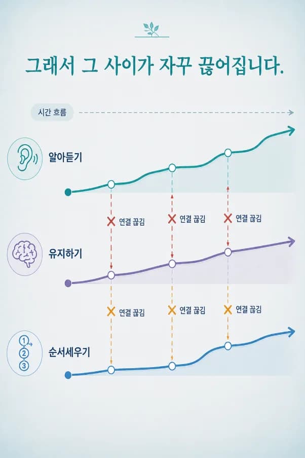 알아듣는 기능·붙들어 두는 기능·순서를 세우는 기능을 잇는 연결이 자라면서 더디던 곳에 불이 들어오는 모습을 나타낸 도식