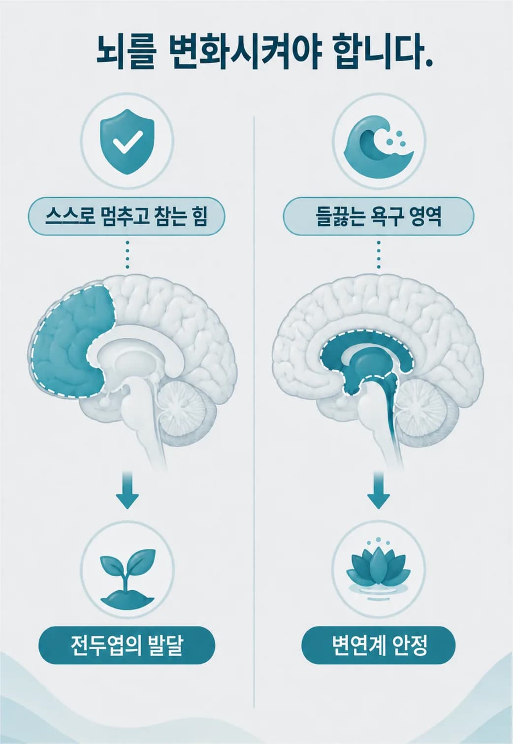 뇌움한의원의 게임중독 치료 역할 개요: 자기 조절을 담당하는 전두엽 발달을 돕는 방향과 욕구 영역을 안정시키는 방향