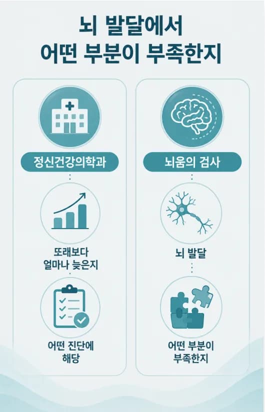정신건강의학과 평가는 어떤 진단에 해당하는지를, 뇌움의 뇌불균형 검사는 뇌 발달의 어느 부분이 부족한지를 묻는다는 차이를 나란히 보여 주는 도식