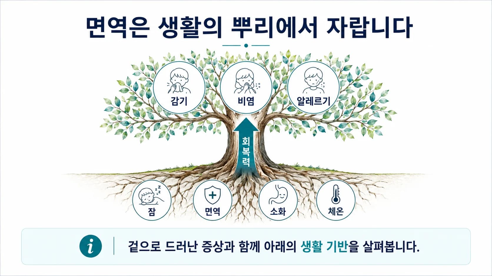 두뇌를 나무에 비유한 그림. 땅 아래 뿌리에 잠과 면역, 소화와 체온이, 땅 위 잎에 감기와 비염, 알레르기가 놓여 있다