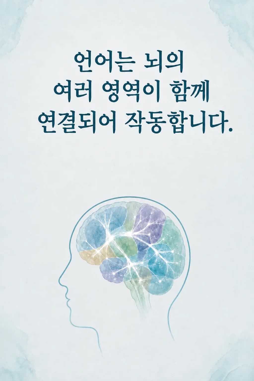 언어가 뇌의 한 부위가 아니라 여러 영역과 백질 연결망의 협력으로 이루어지는 모습을 보여주는 도식