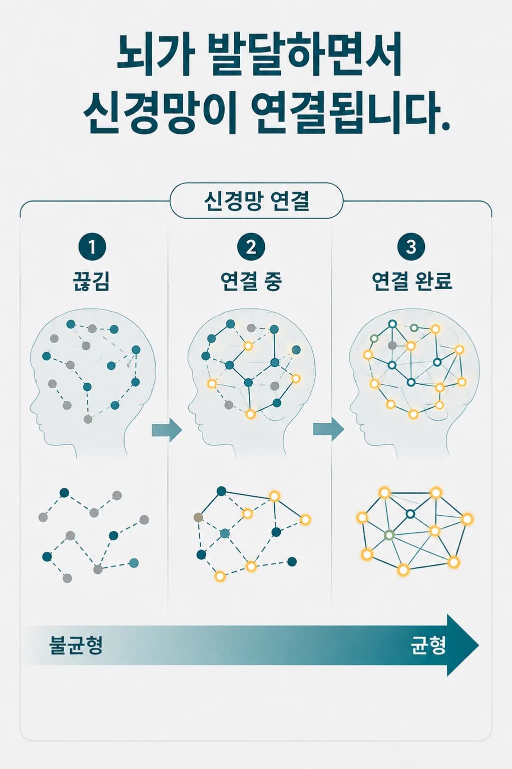 기능마다 자리 잡은 점들이 선으로 이어진 그물 그림이 세 단계로 놓여 있다. 첫 단계는 일부 선이 끊기거나 흐려 불이 꺼져 있고, 다음 단계는 그 선이 이어지는 중이며, 마지막 단계는 이어진 자리에 불이 들어와 있다.