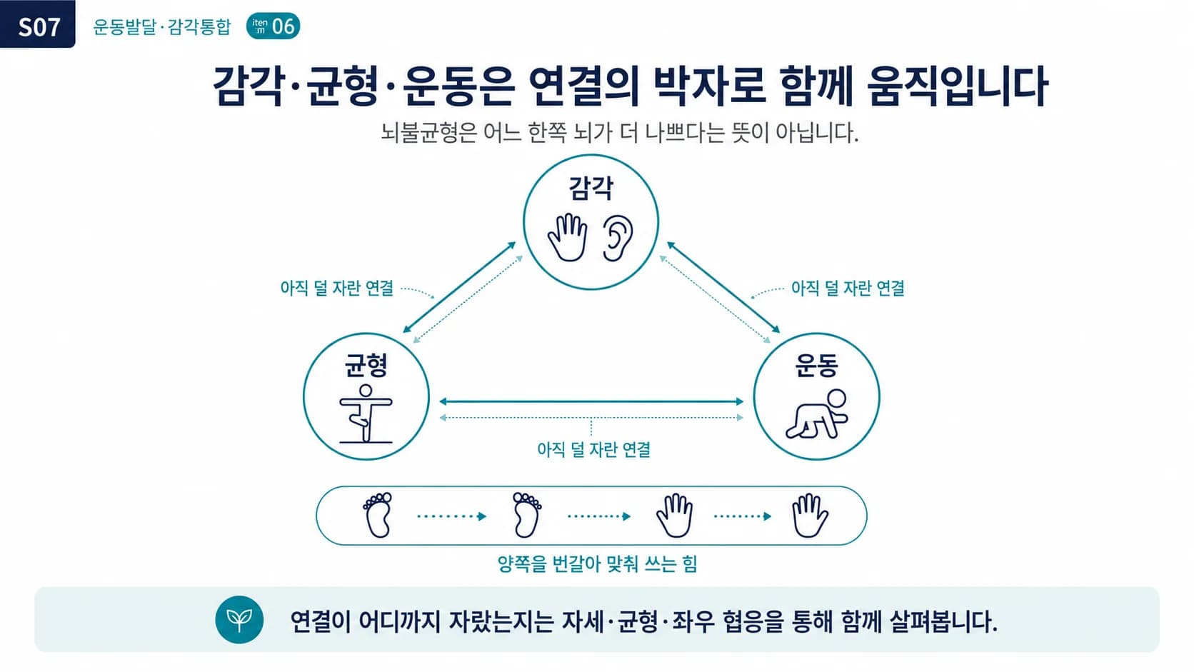 감각, 균형, 운동 기능이 원으로 놓이고 서로 연결선으로 이어진 개념도. 아직 덜 자란 연결은 옅은 선으로 표시