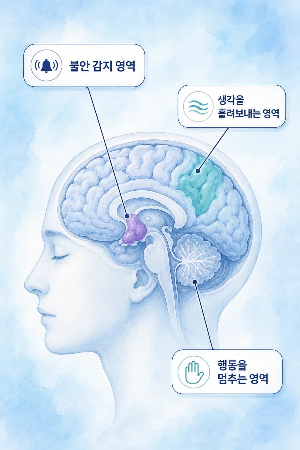 강박증에서 관찰되는 뇌 기능 영역 사이의 연결