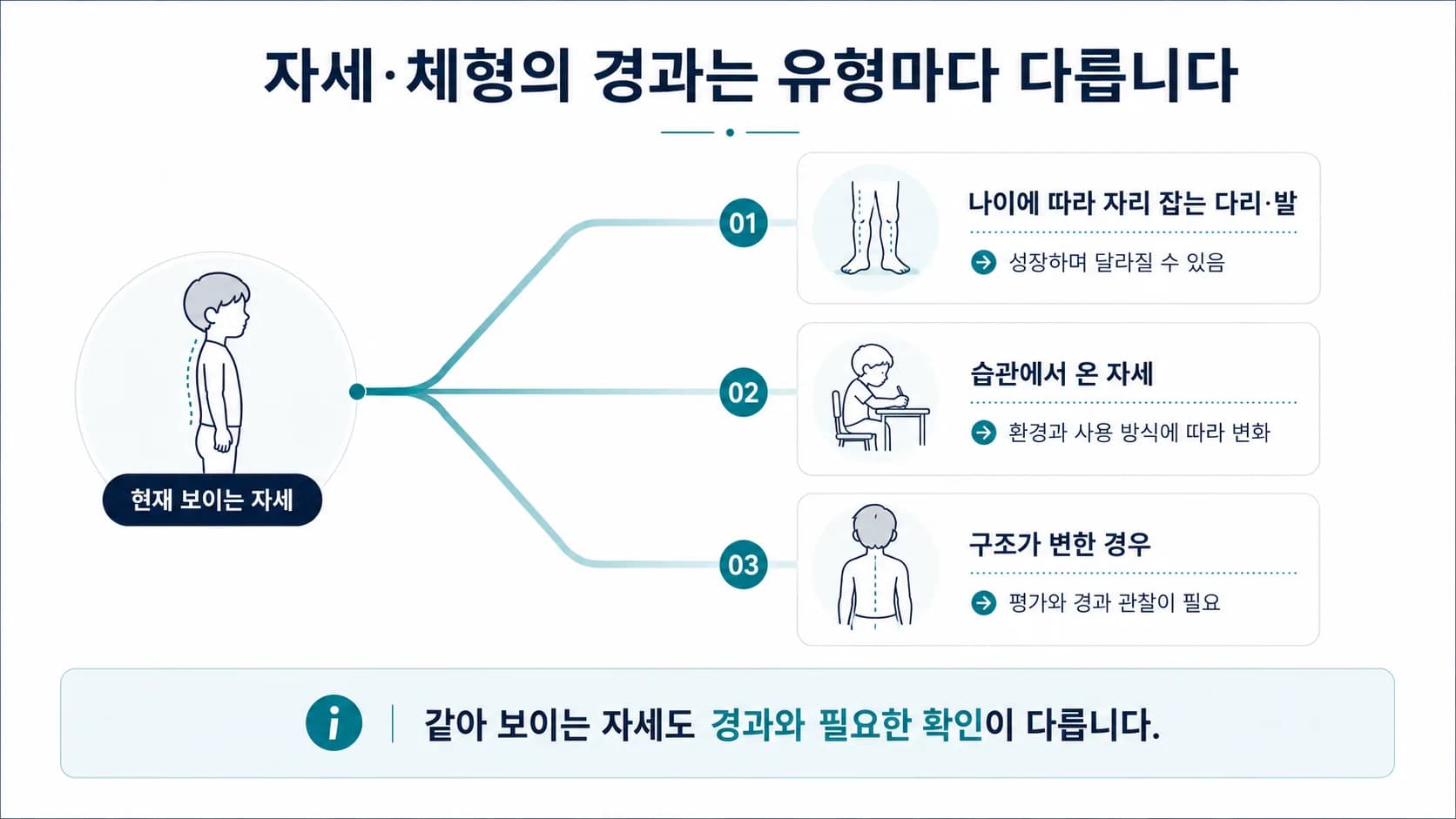 자세·체형 유형별 경과 요약 도식