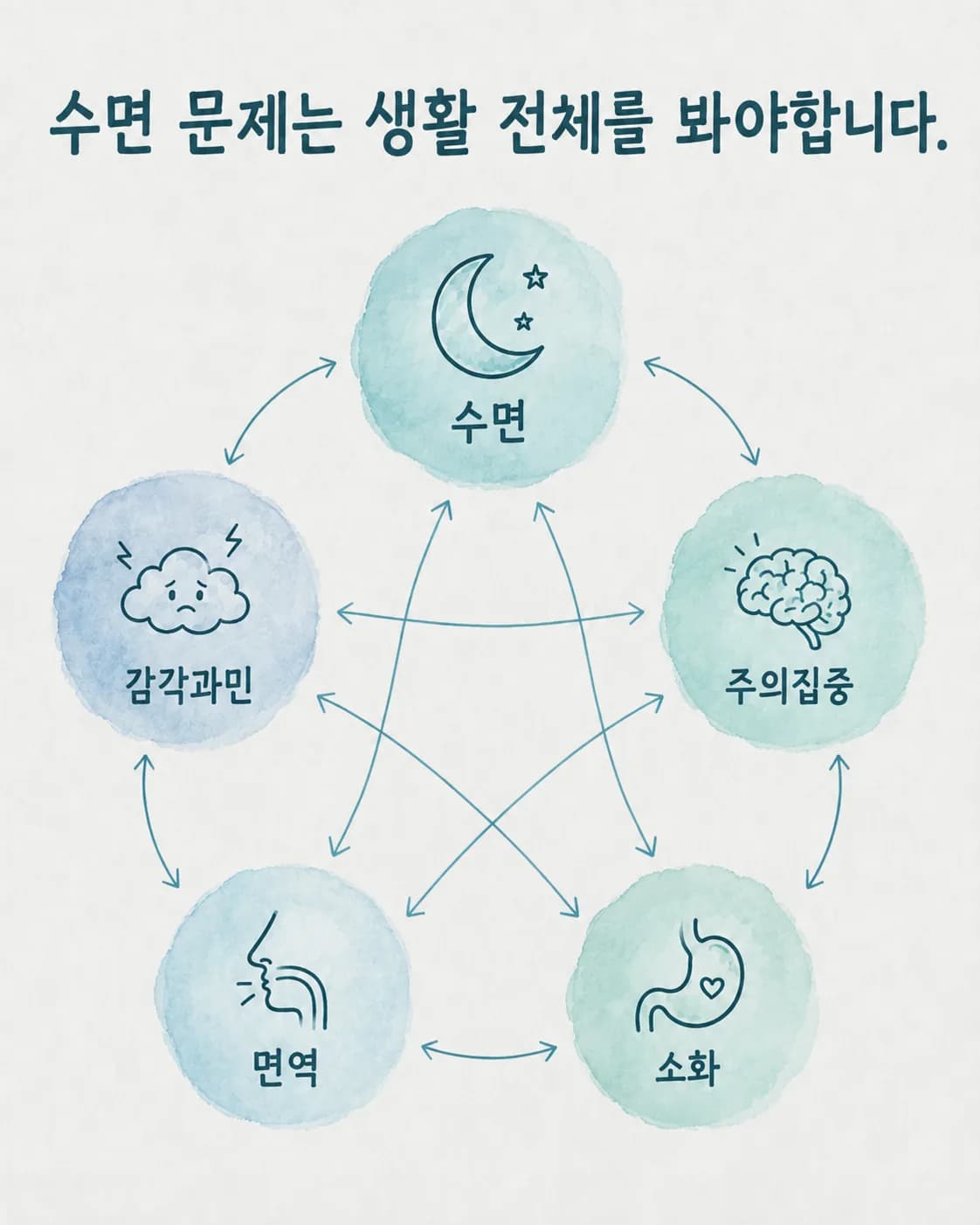잠, 낮의 집중, 예민함, 코와 목, 소화가 서로 양방향 선으로 이어진 그물망 그림