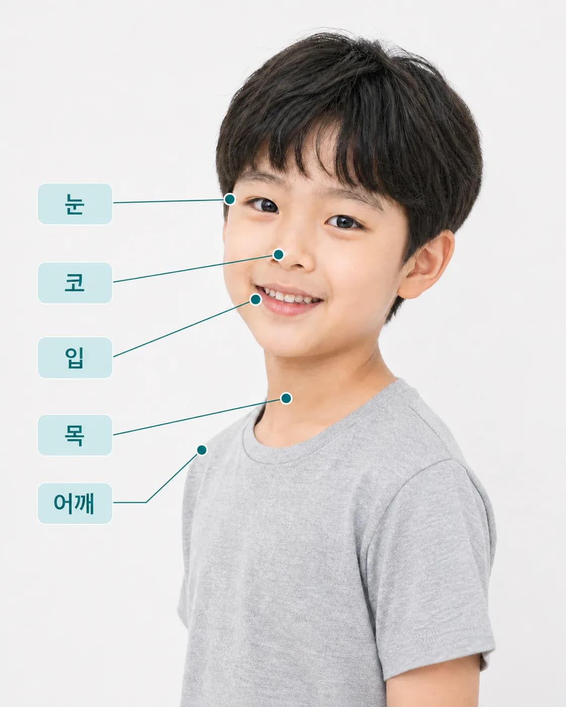 눈·코·입·목·어깨 등 틱이 자주 나타나는 신체 부위를 표시한 일러스트