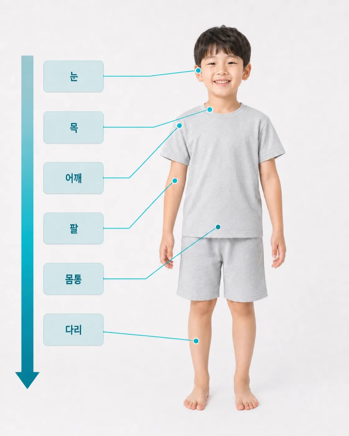틱은 눈과 얼굴 위쪽에서 시작해 목·어깨·몸통·다리로 번져 가며, 아래로 내려올수록 한 번 더 살펴볼 필요가 있다는 도식
