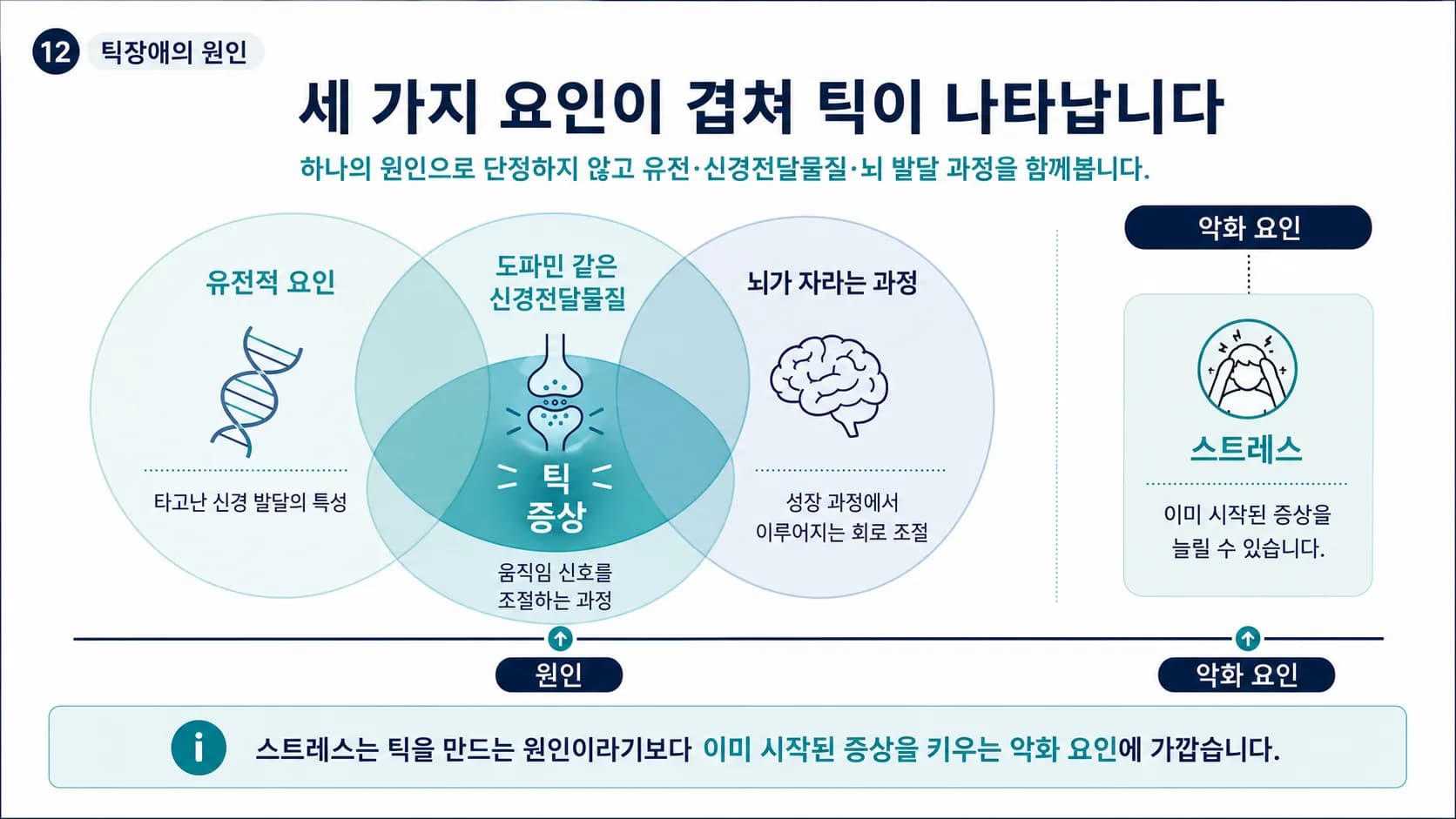 틱은 유전적 요인과 신경전달물질, 뇌 발달 과정이 겹쳐 생기며 스트레스는 원인이 아니라 악화 요인이라는 도식