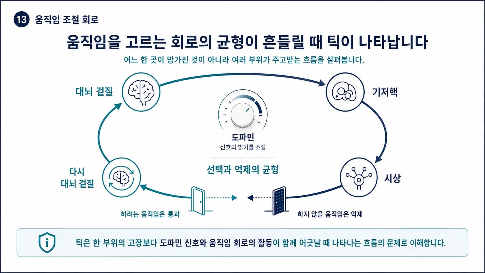 틱은 대뇌 겉질과 기저핵, 시상을 잇는 회로에서 움직임을 고르는 조절이 흔들릴 때 나타난다는 도식