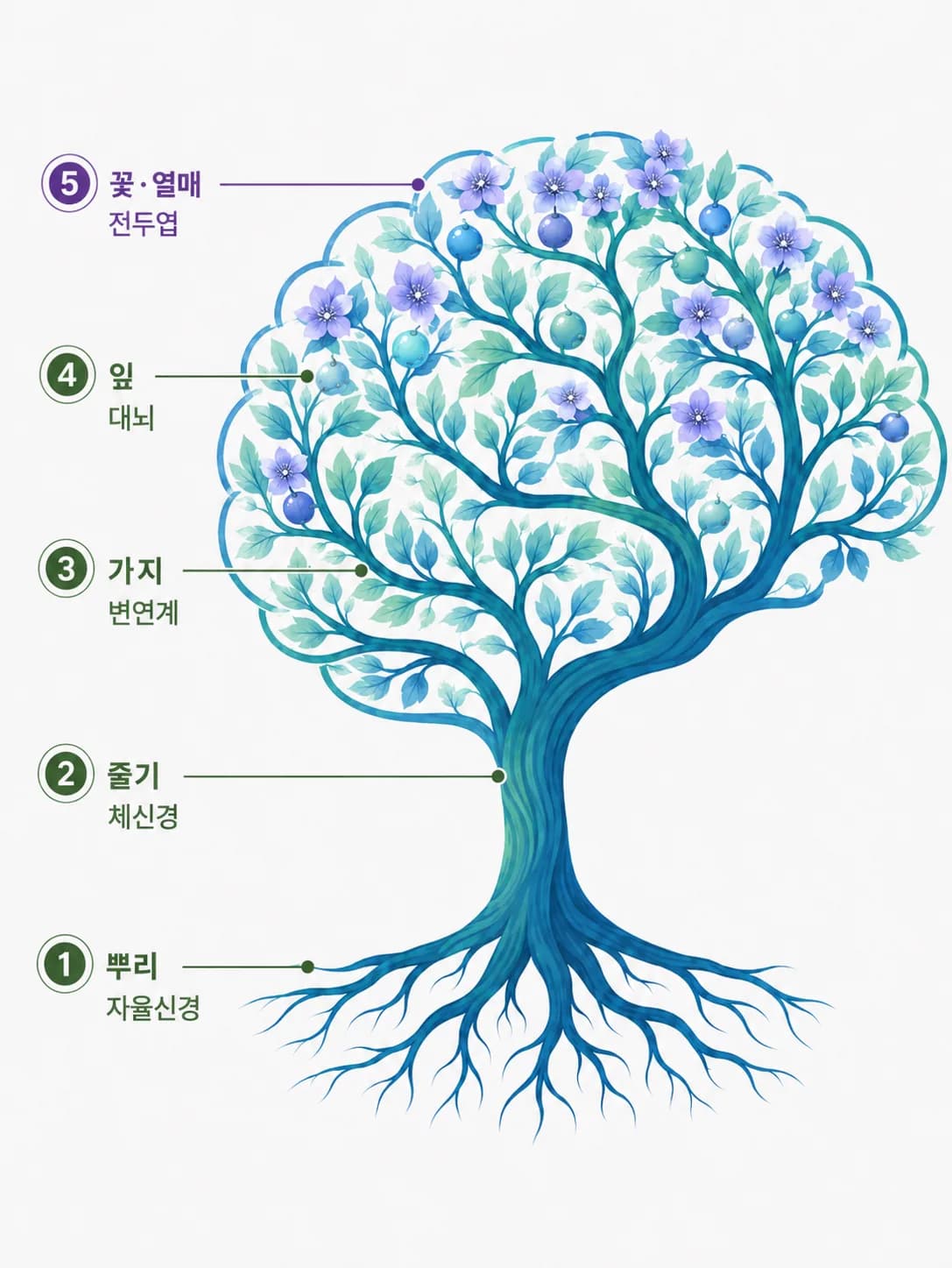 자율신경을 뿌리로, 체신경을 줄기로, 변연계를 가지로, 대뇌를 잎으로, 전두엽을 꽃과 열매로 나타낸 뇌움한의원 뇌발달 트리 나무 도해