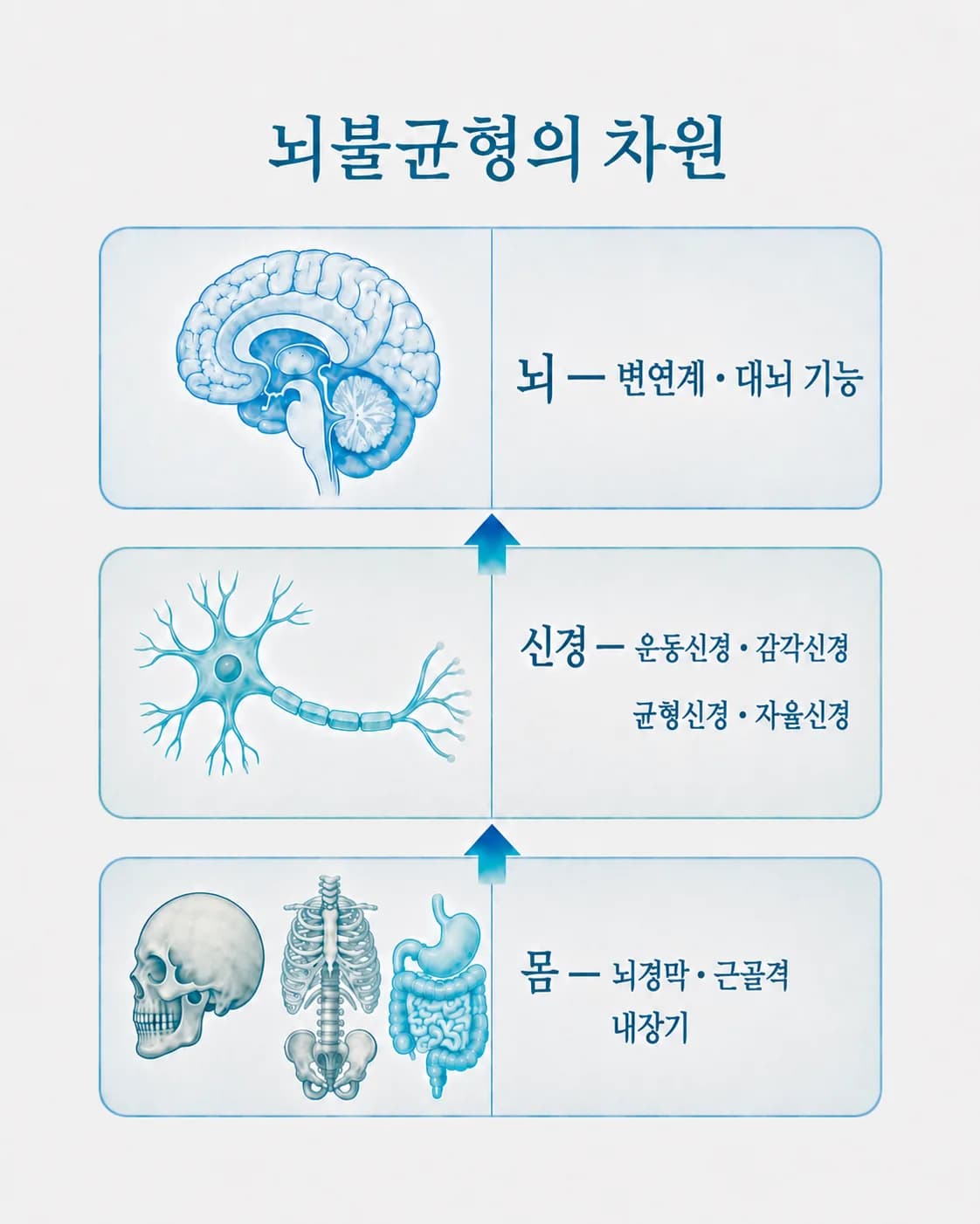 뇌움한의원이 살피는 아홉 가지를 몸·신경·뇌 세 층으로 나눈 개념도. 몸 층에 뇌경막·근골격·내장기, 신경 층에 운동신경·감각신경·균형신경·자율신경, 뇌 층에 변연계·대뇌 기능이 놓여 있다