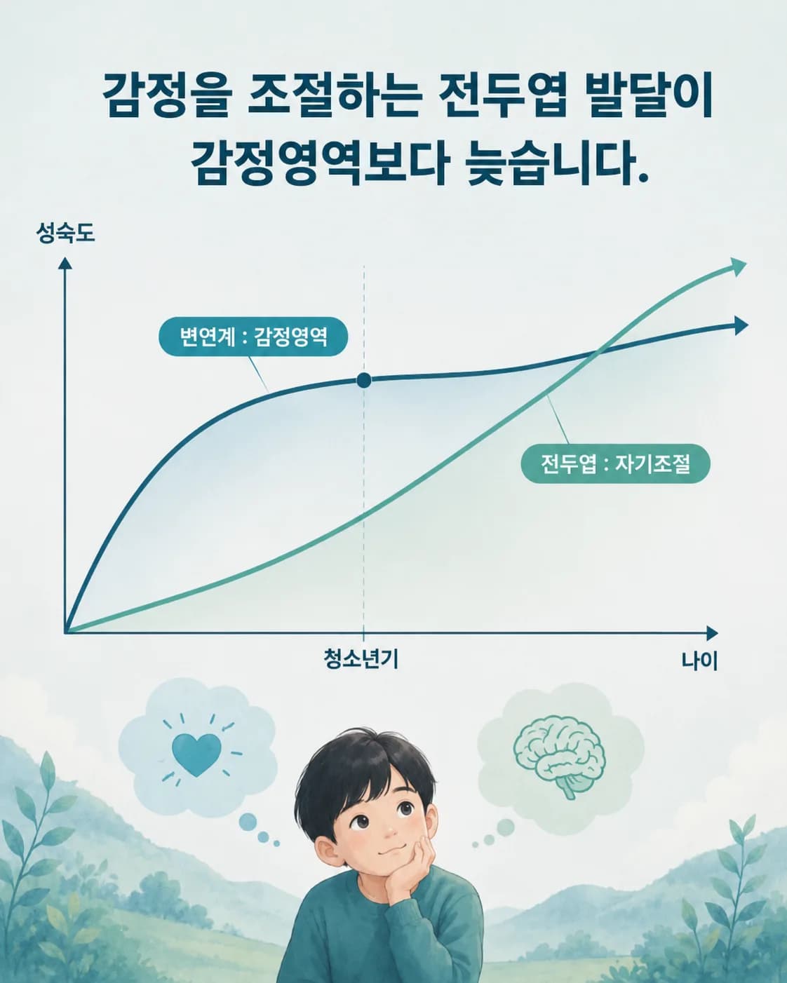 감정 뇌와 조절 뇌의 발달 속도 차이 그래프