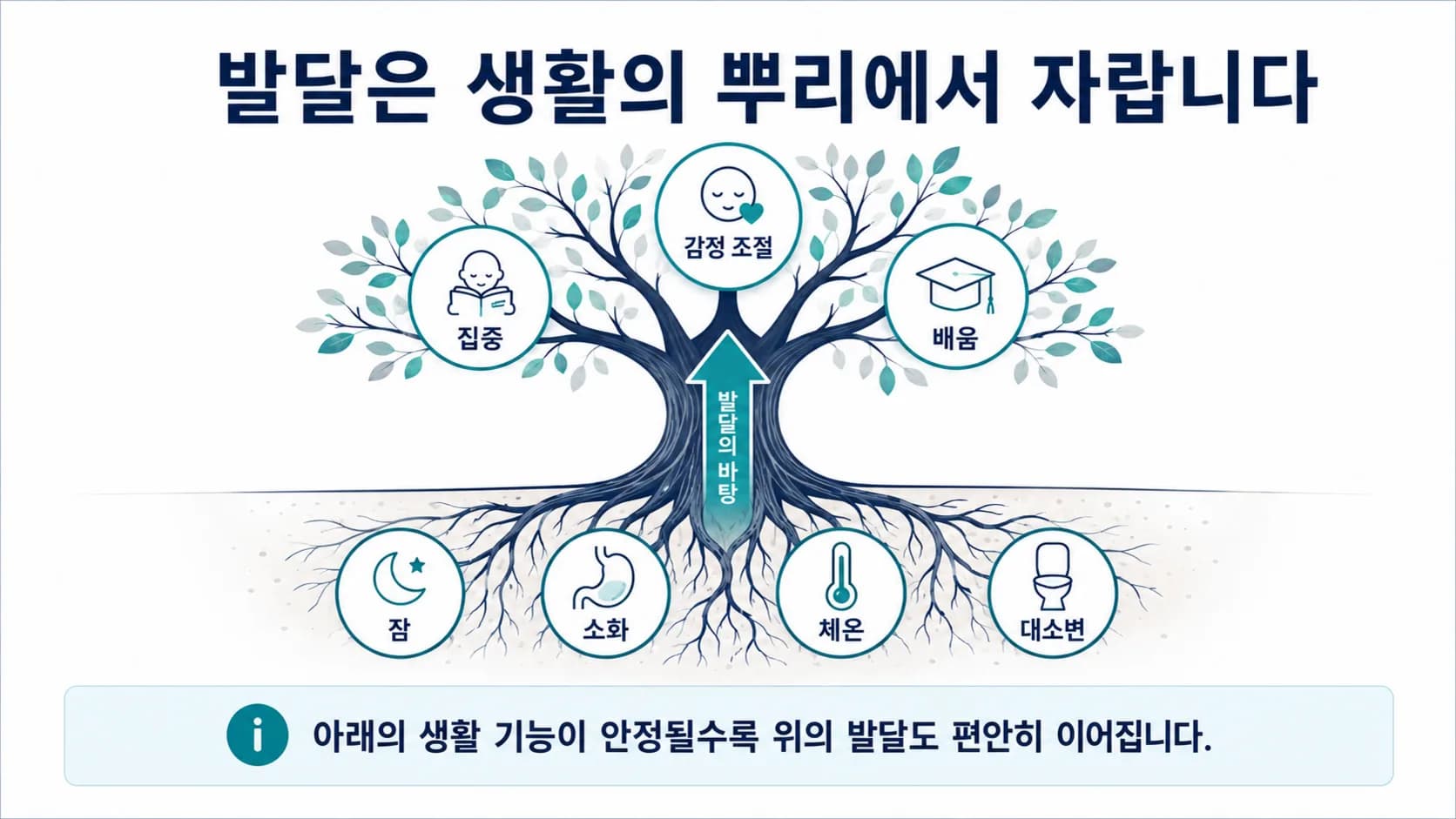 뿌리에 잠 소화 체온 대소변이 적히고 줄기와 가지에 집중 감정 조절 배움이 적힌 나무 도식